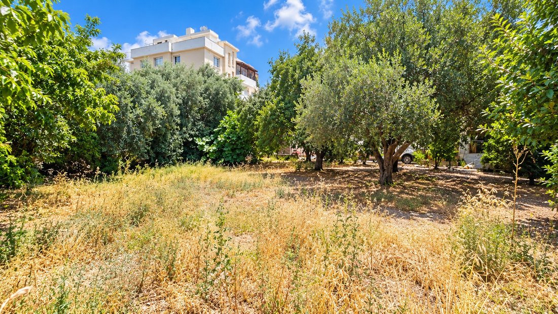 Villa en Pafos, Distrito de Pafos, Chipre 4 - 19035713