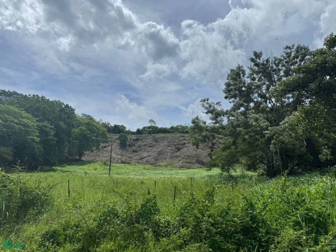 Terreno en Garabito, Costa Rica 1 - 18001588