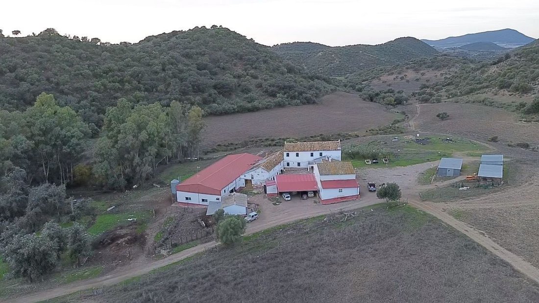 Rancho en Morón de la Frontera, Andalucía, España 5 - 19036543