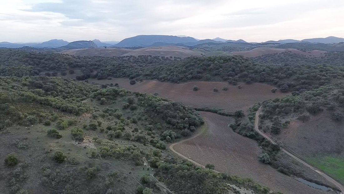 Rancho en Morón de la Frontera, Andalucía, España 2 - 19036543