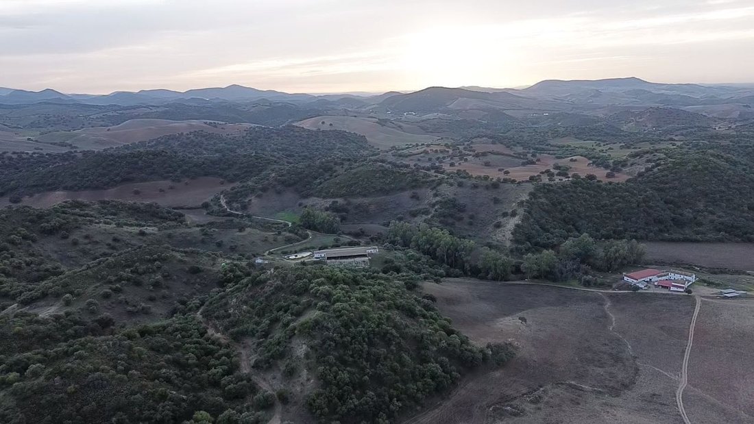 Rancho en Morón de la Frontera, Andalucía, España 4 - 19036543