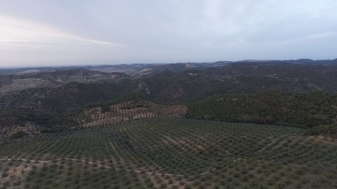Rancho en Morón de la Frontera, Andalucía, España 3 - 19036543