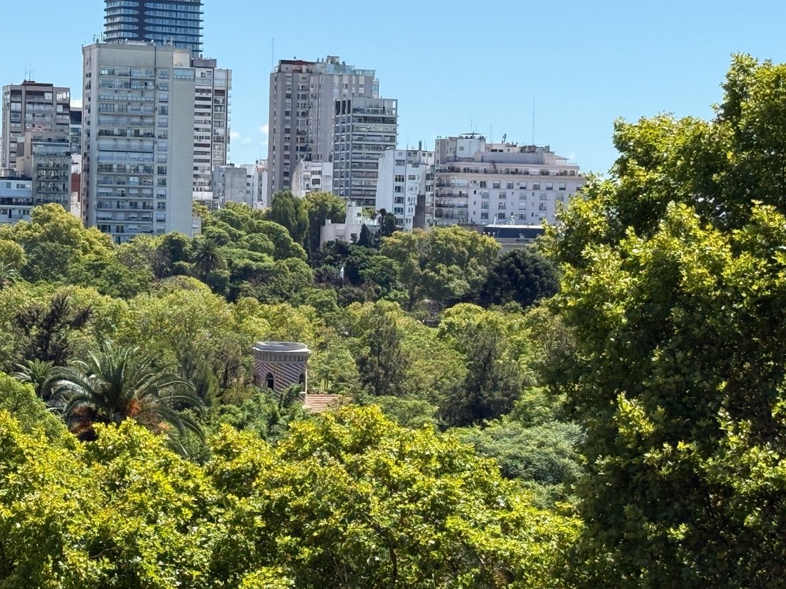 Apartment in Buenos Aires, Buenos Aires, Argentina 5 - 19036507