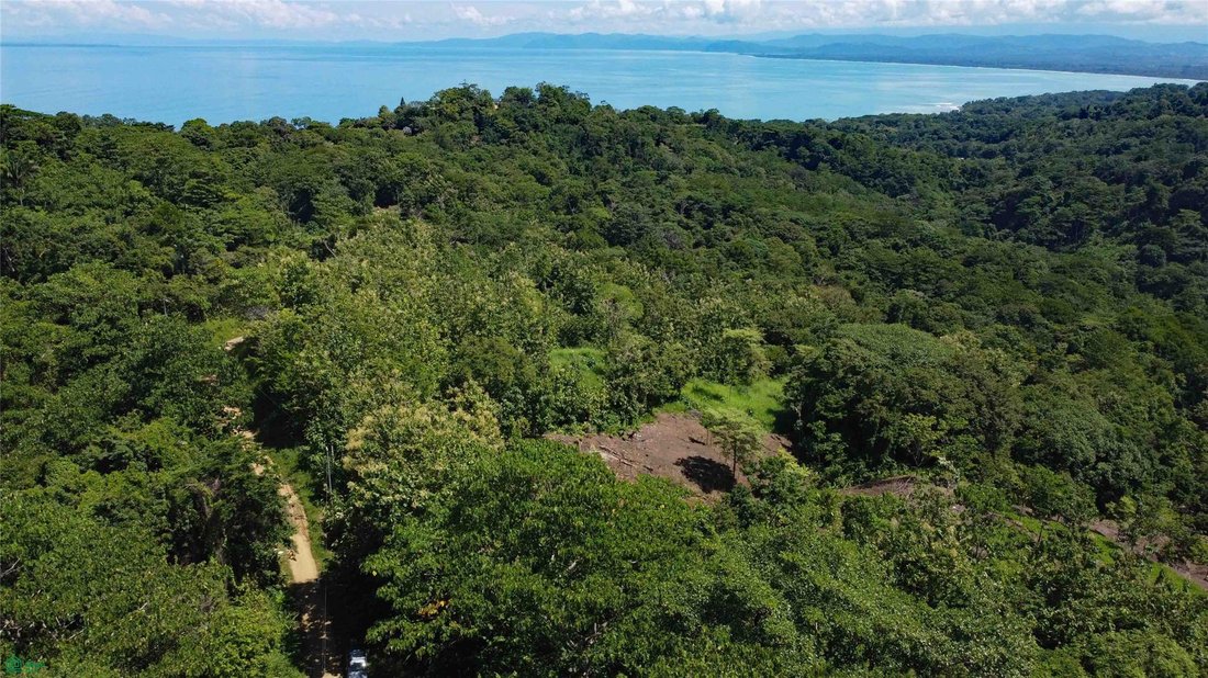 Terreno en Pavones, Provincia de Puntarenas, Costa Rica 4 - 18637527