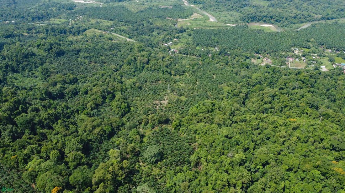 Terreno en Piedras Blancas, Provincia de Puntarenas, Costa Rica 5 - 18030334