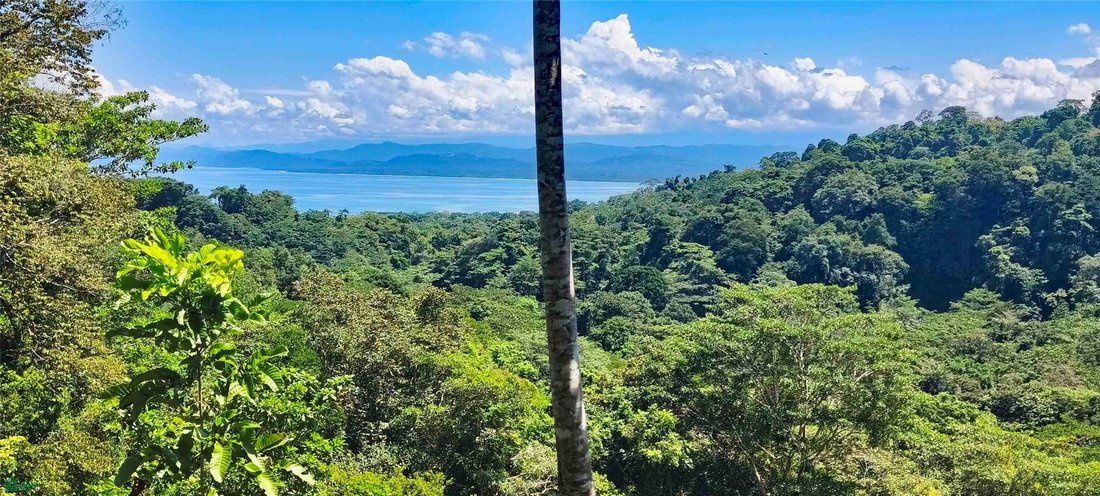 Terreno en Pavones, Provincia de Puntarenas, Costa Rica 2 - 18637527