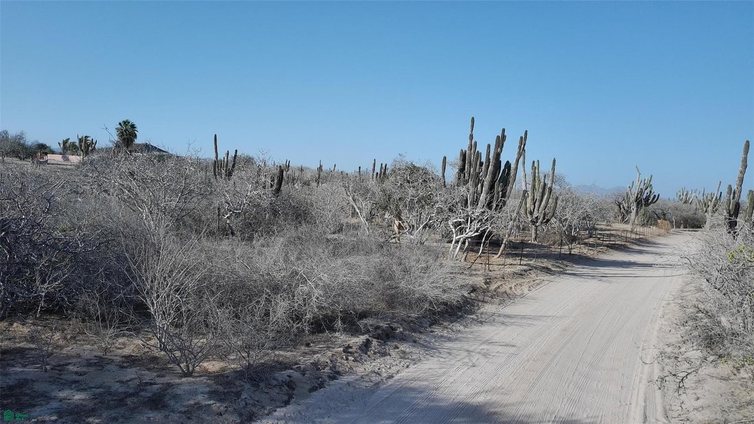 Terreno en El Pozo de Cota, Baja California Sur, México 2 - 18612372