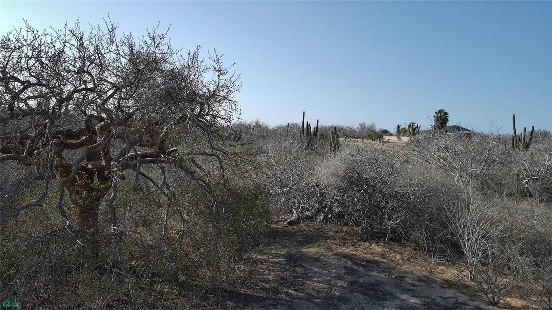 Terreno en El Pozo de Cota, Baja California Sur, México 3 - 18612372
