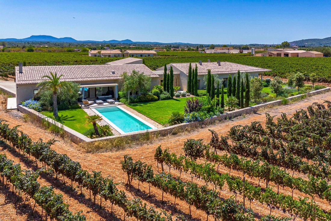 Finca à Binissalem, Îles Baléares, Espagne 5 - 16069490