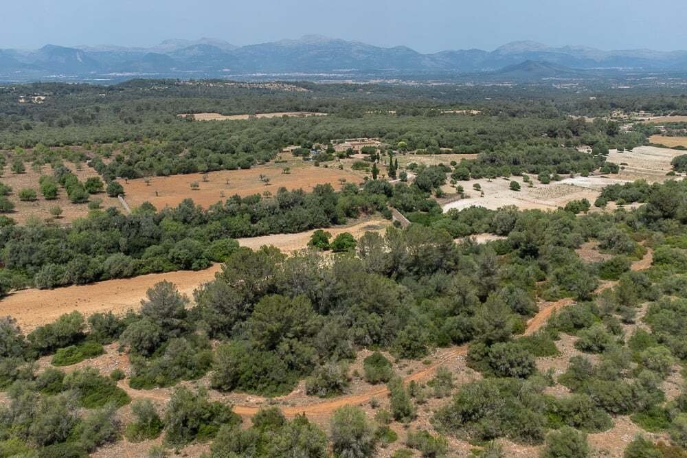 Finca in Sineu, Balearic Islands, Spain 3 - 12137978