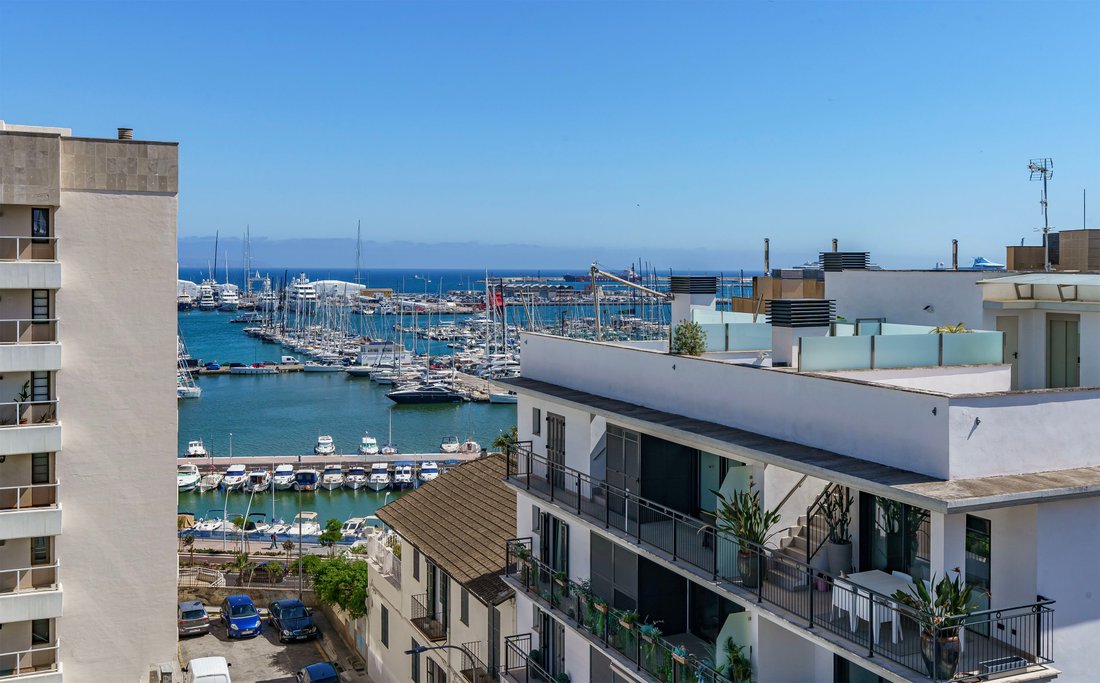 Apartment in Palma, Balearic Islands, Spain 1 - 18017065