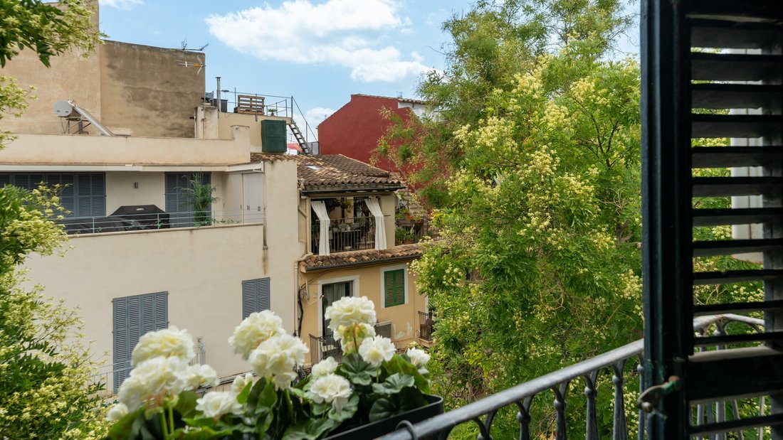 Wohnung in Palma, Balearische Inseln, Spanien 4 - 15984248