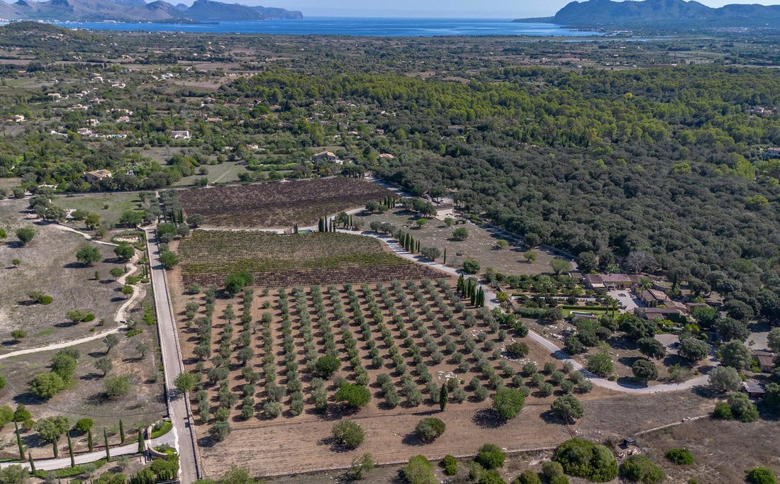 Finca in Pollenca, Balearic Islands, Spain 2 - 16711179