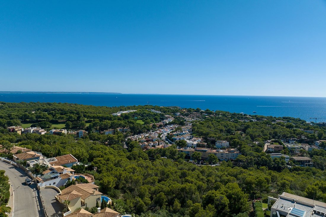 Villa in Portals Nous, Calvia, Balearic Islands 2 - 13361017
