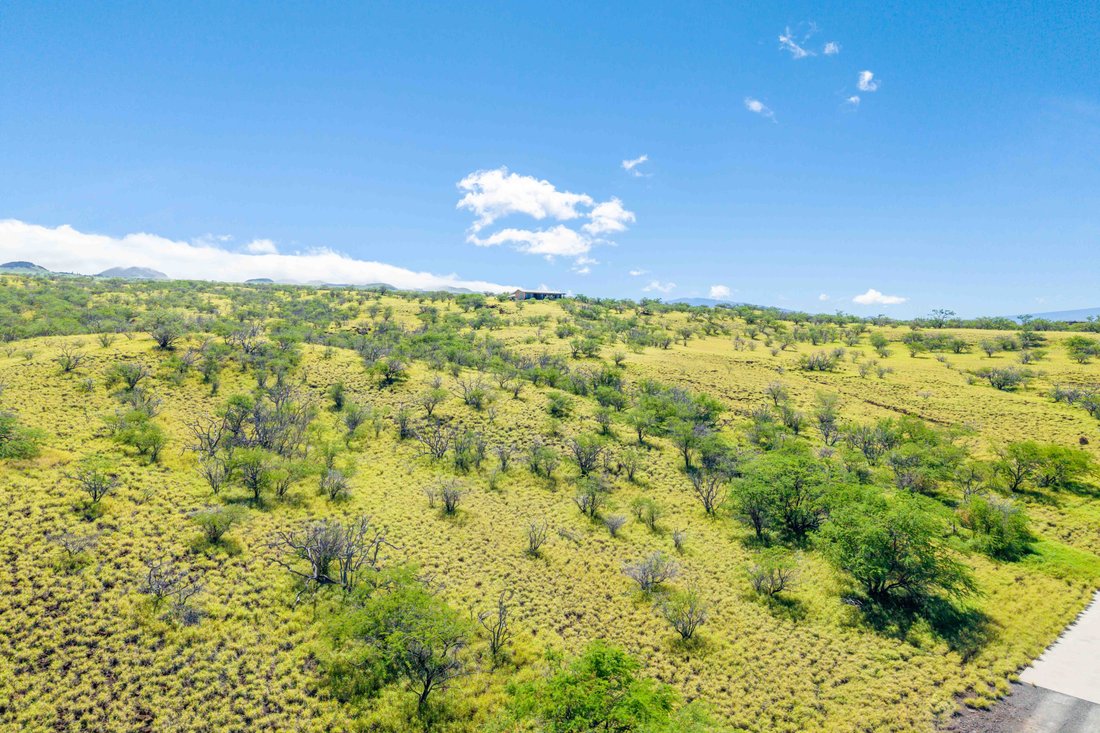 Terreno a Hawi, Hawaii, Stati Uniti 3 - 19036701