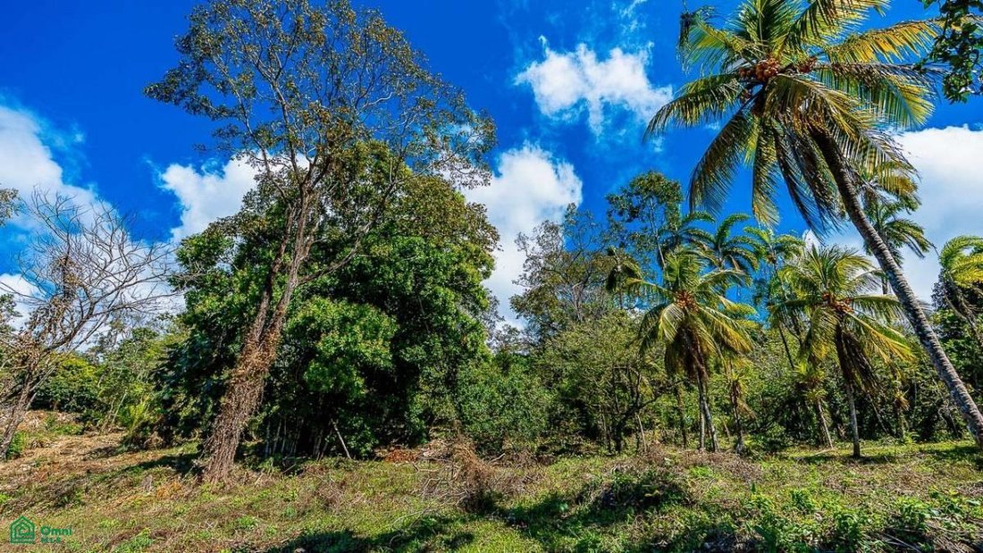 Terrain en Quebrada, Puntarenas, Costa Rica 5 - 18592230