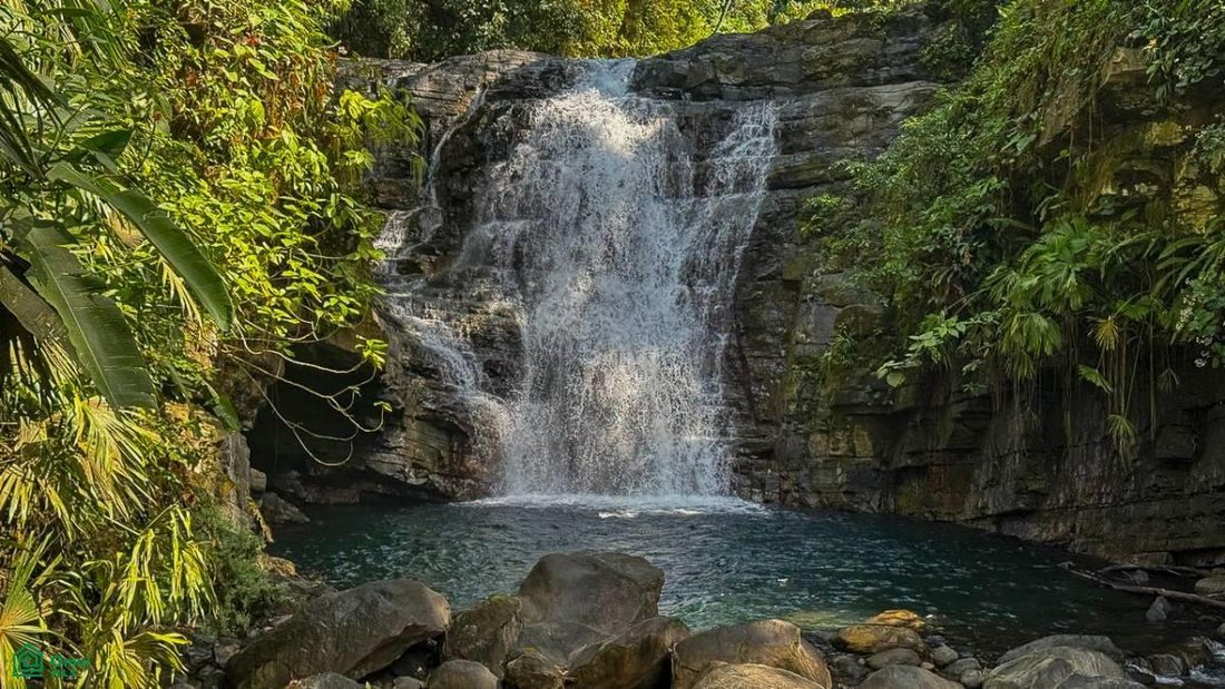 Terrain en Quebrada, Puntarenas, Costa Rica 4 - 18592230