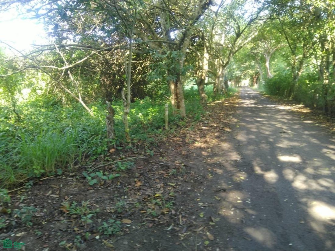 Land in San José Novillero, Veracruz, Mexico 2 - 17811386