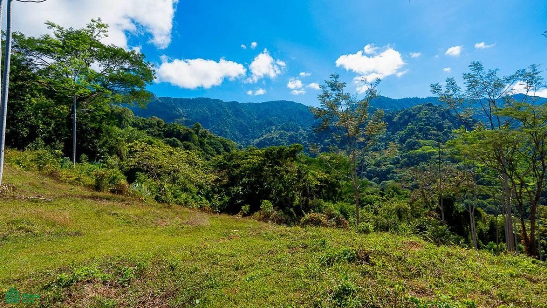 Terrain en Quebrada, Puntarenas, Costa Rica 3 - 18592230