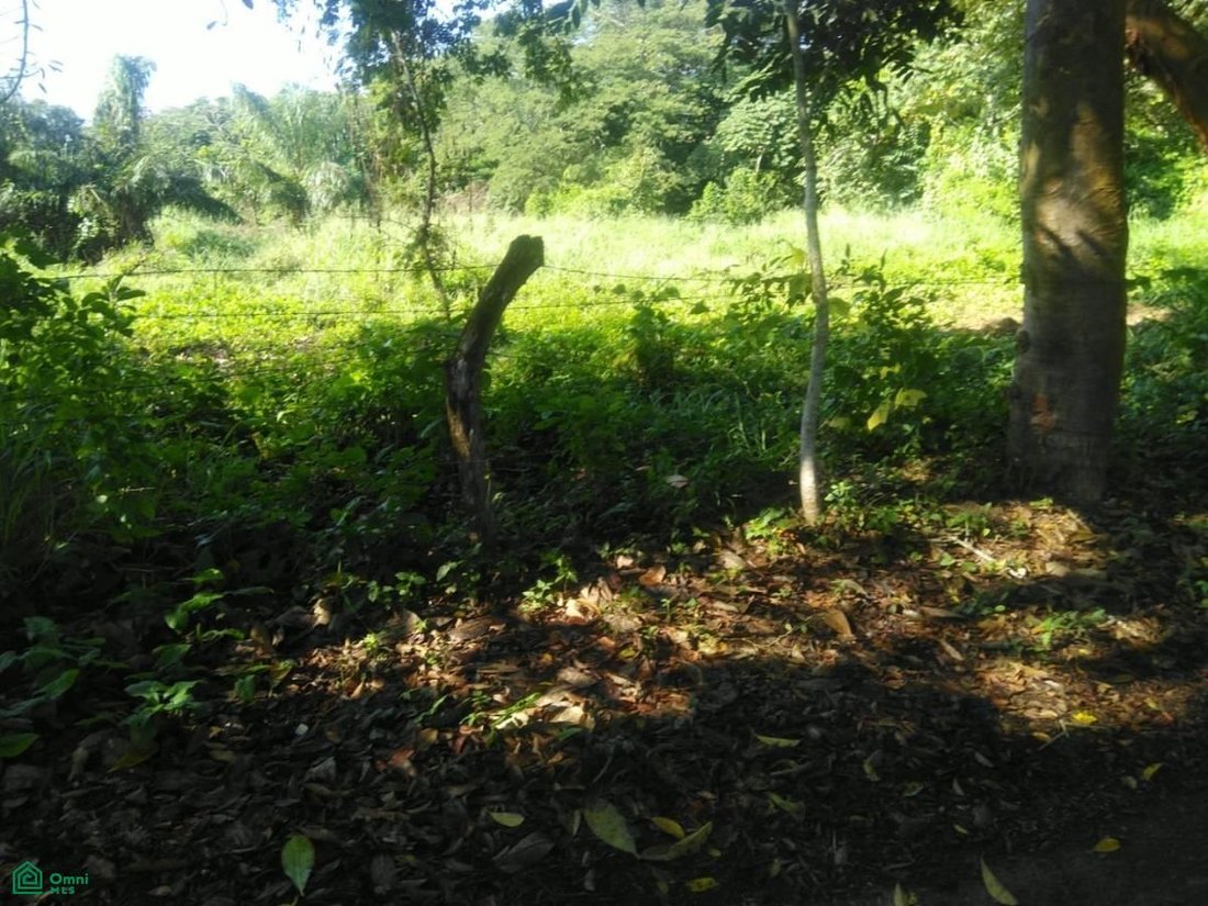 Land in San José Novillero, Veracruz, Mexico 5 - 17811386