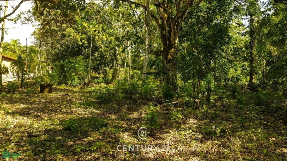 Land in San Mateo, Guanacaste Province, Costa Rica 3 - 17804216