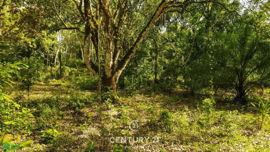 Land in San Mateo, Guanacaste Province, Costa Rica 2 - 17804216
