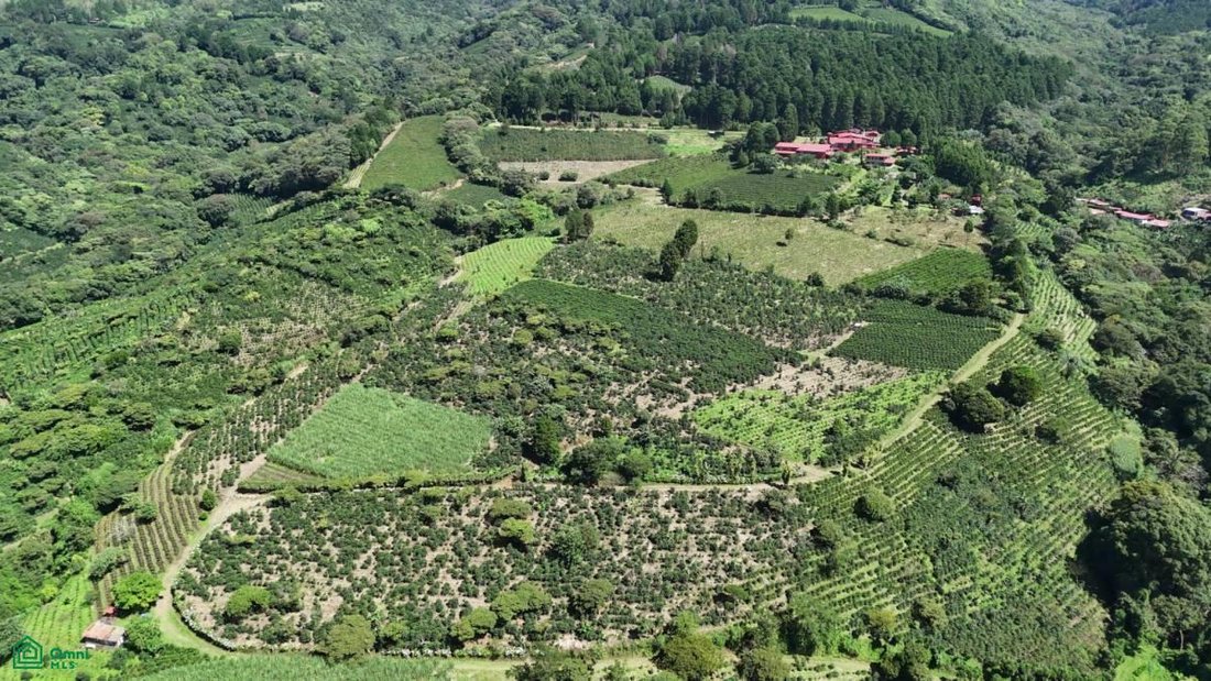 Land in Grecia, Guanacaste Province, Costa Rica 3 - 17804206