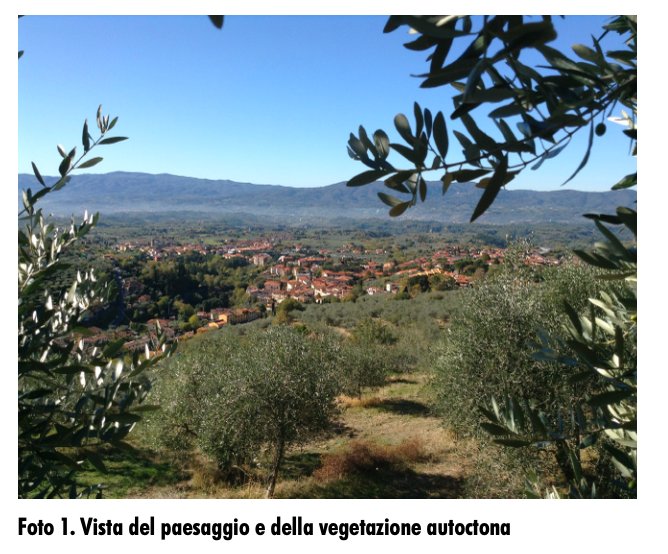 Villa in Borgo a Cascia, Reggello, Tuscany 3 - 19036713