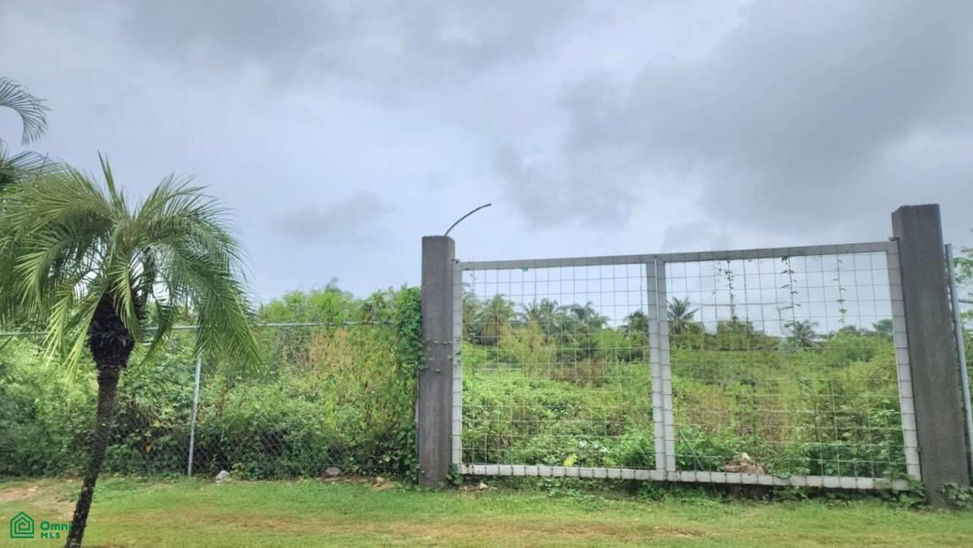 Land in Acapulco, Guerrero, Mexiko 1 - 19003313