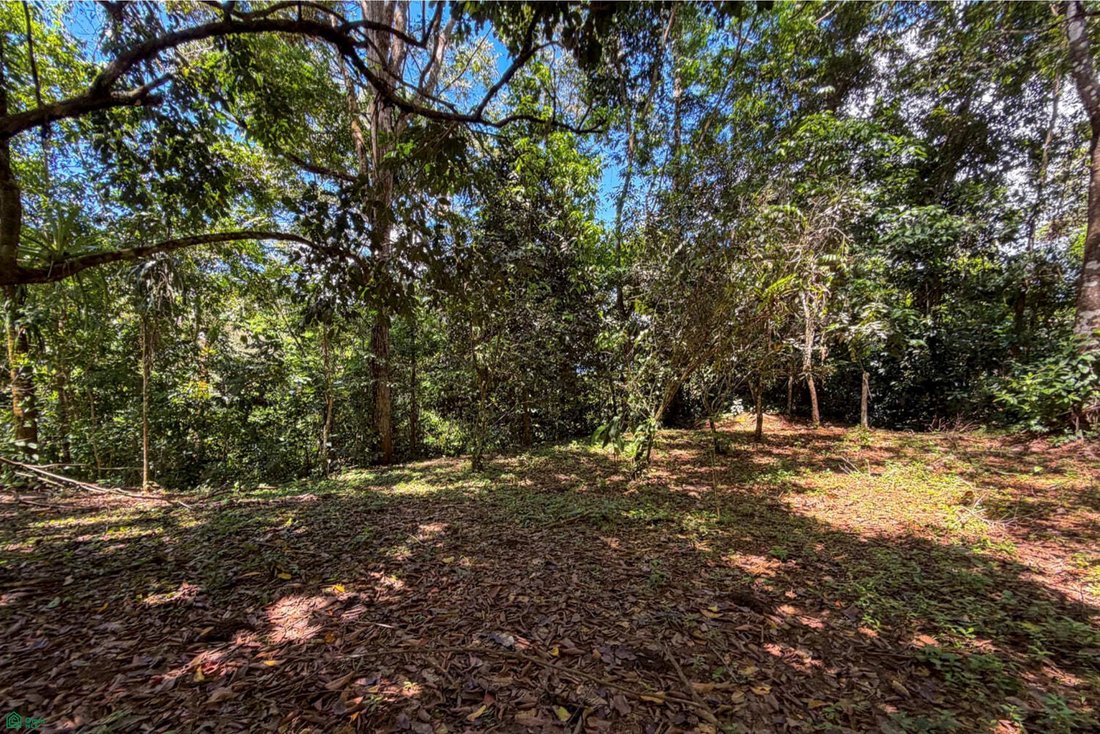 Terreno a Barú, Cantone di Pérez Zeledón, Costa Rica 3 - 18517240