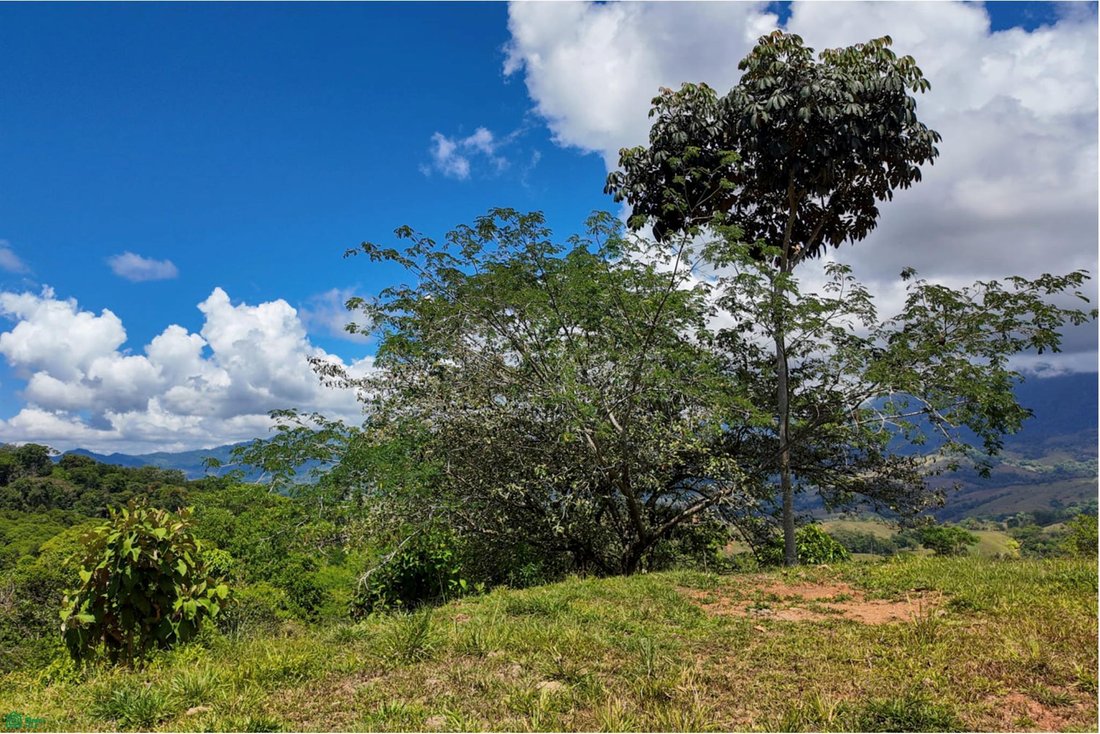 Terreno a Barú, Cantone di Pérez Zeledón, Costa Rica 4 - 18517240