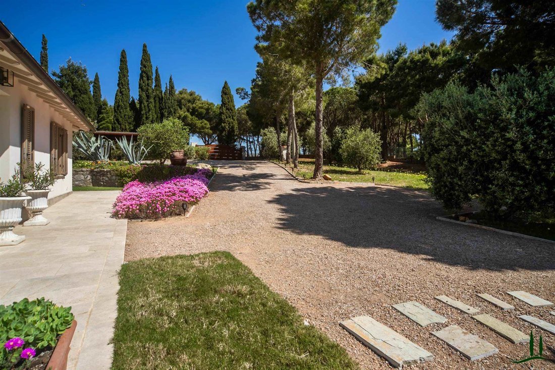 Villa in San Vincenzo, Tuscany, Italy 3 - 18591047