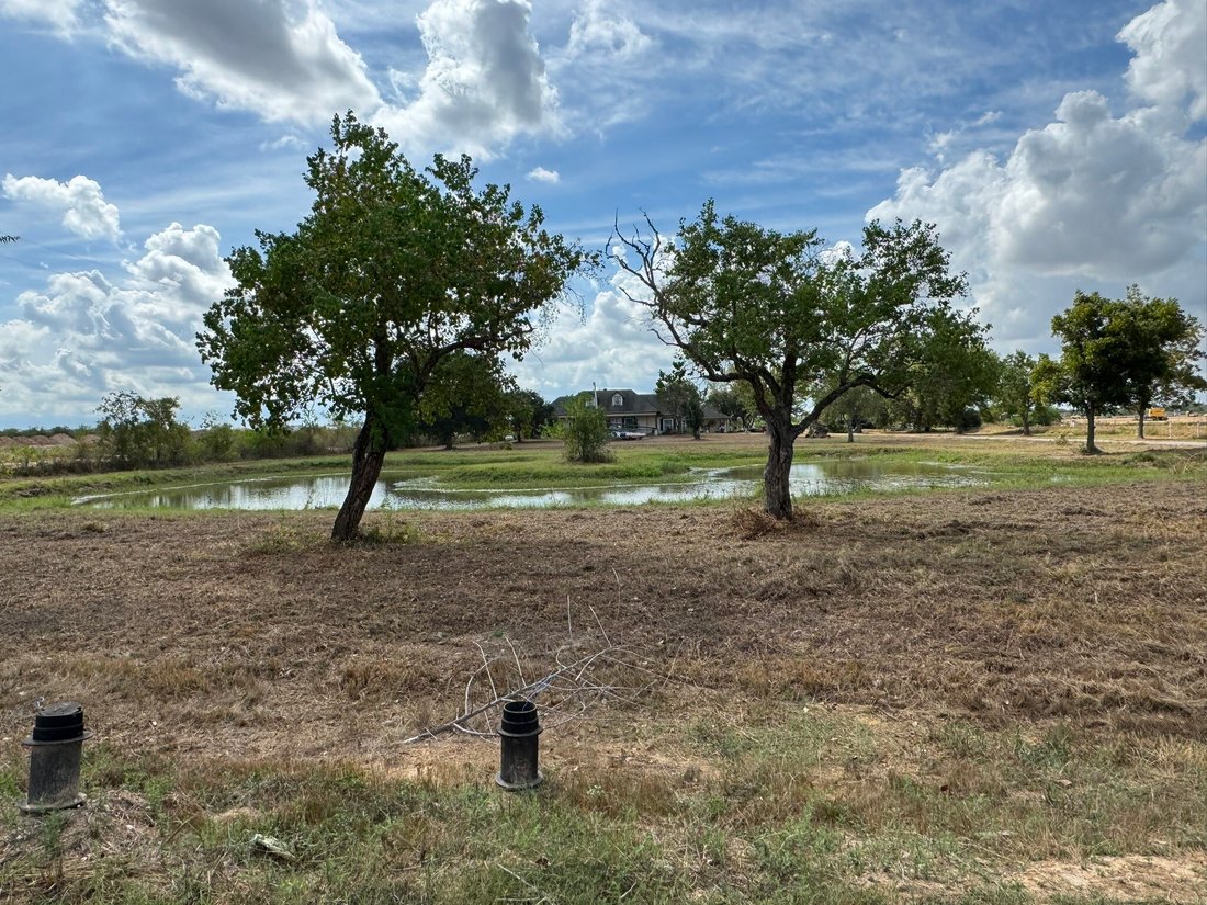 Azienda agricola a Katy, Texas, Stati Uniti 5 - 19040908