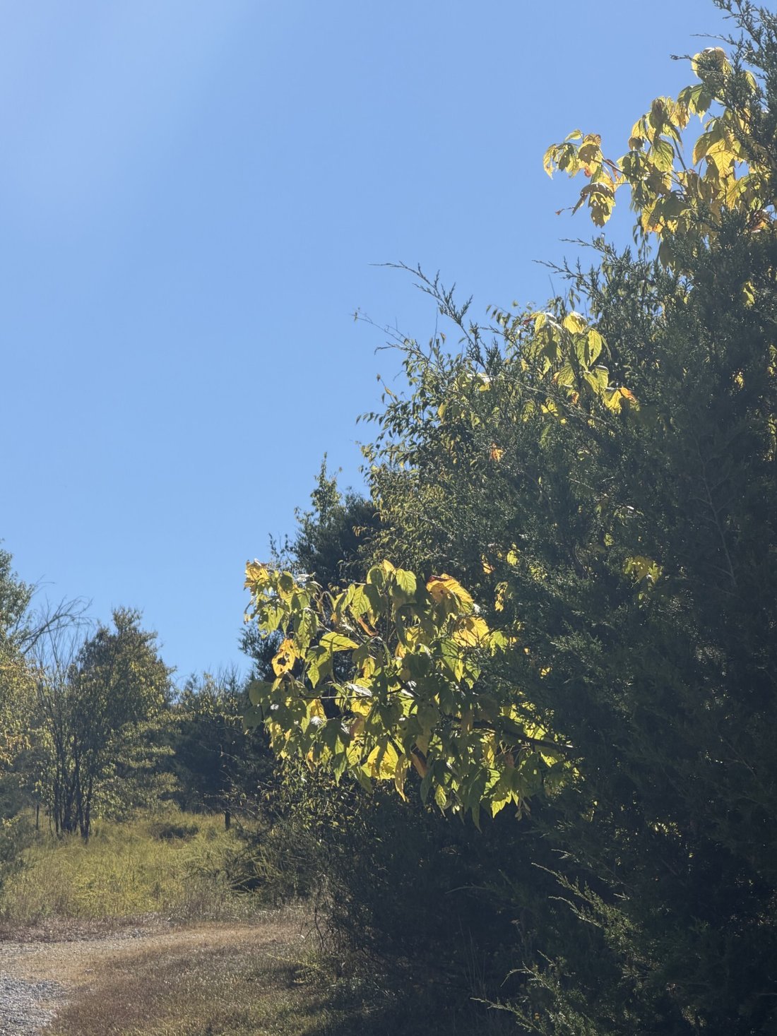 Terreno en Woodbury, Tennessee, Estados Unidos 2 - 19038154