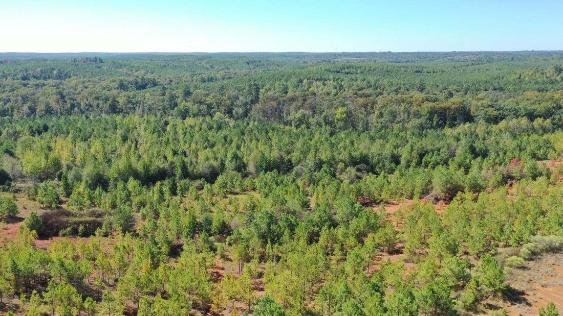 Terrain à Karnack, Texas, États-Unis 5 - 19038289