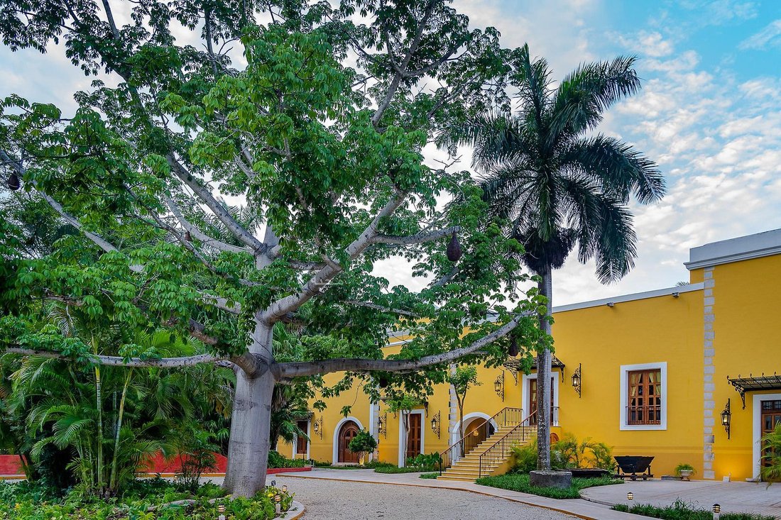 Apartment in Mérida, Yucatan, Mexico 4 - 19038098