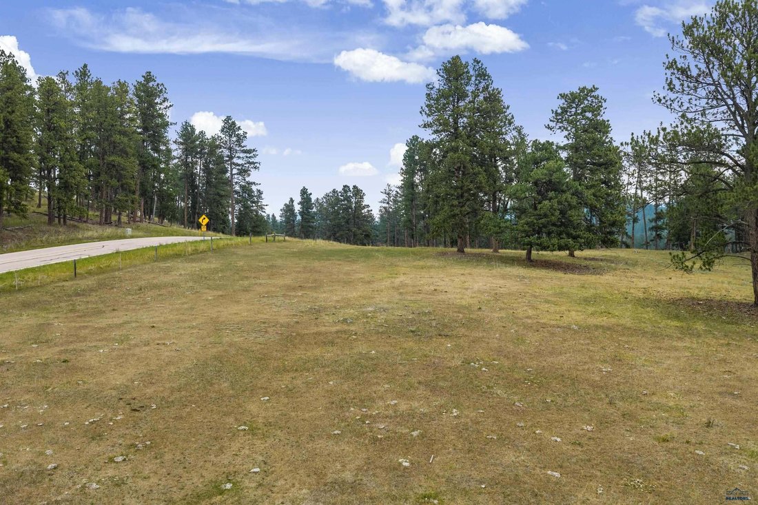 Land in Hill City, South Dakota, United States 3 - 19040229