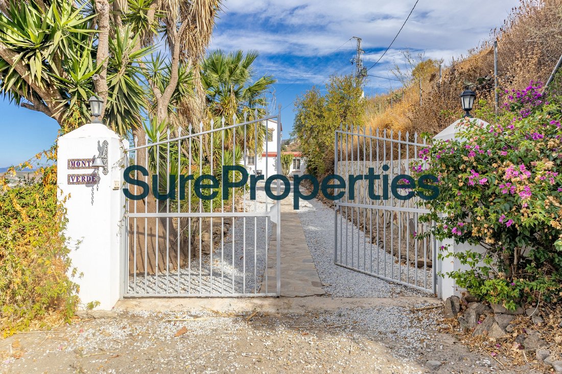 Villa en Sayalonga, Andalucía, España 4 - 19040469