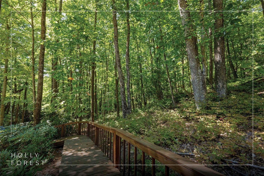 House in Cashiers, North Carolina, United States 5 - 19038782