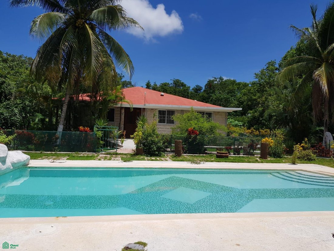 House in Puerto Morelos, Quintana Roo, Mexico 1 - 18650704