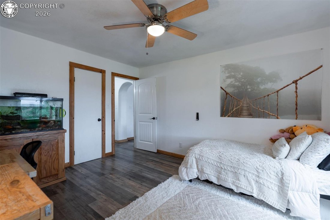 House in Colorado Springs, Colorado, United States 5 - 19037928