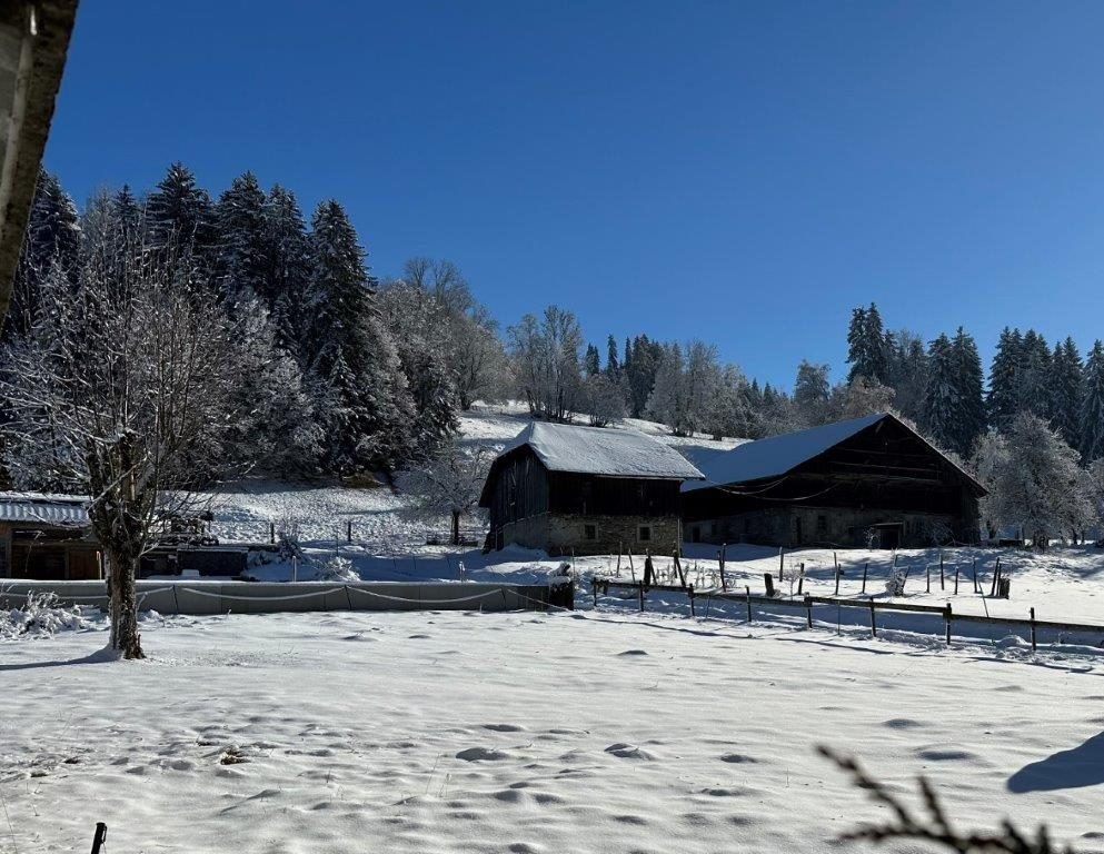 Chalet in Megève, Auvergne-Rhône-Alpes, France 5 - 17140065
