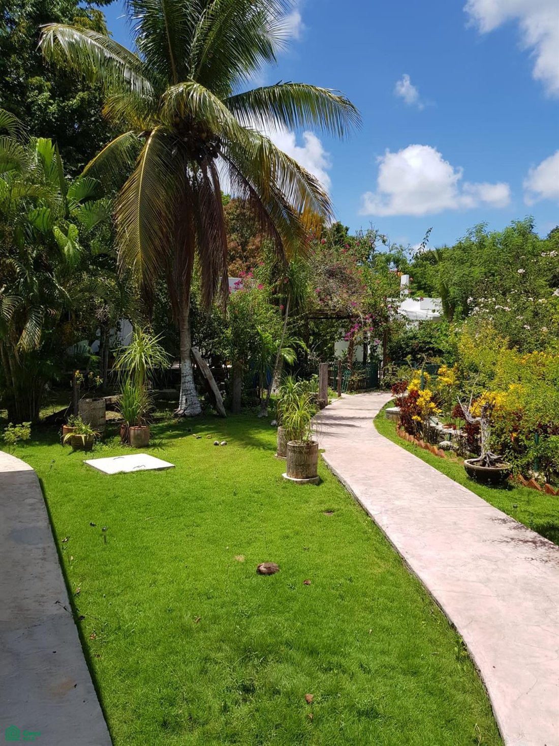 House in Puerto Morelos, Quintana Roo, Mexico 4 - 18650704