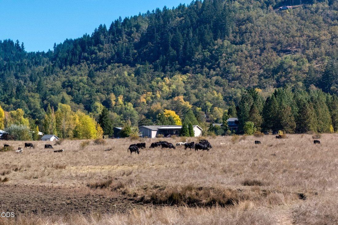 House in Roseburg, Oregon, United States 2 - 19038727