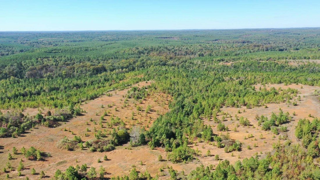 Terrain à Karnack, Texas, États-Unis 4 - 19038289