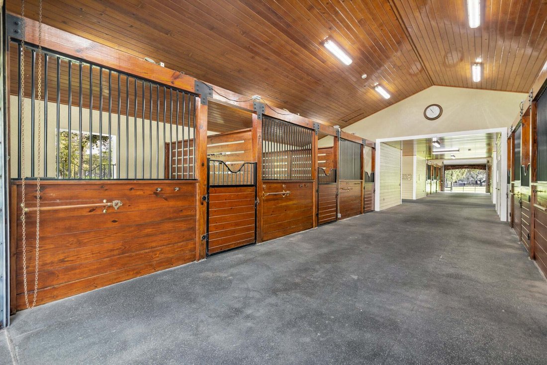 Casa en Wellington, Florida, Estados Unidos 5 - 19039314