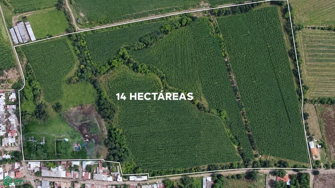 Land in San Jacinto, Jalisco, Mexico 2 - 19038595