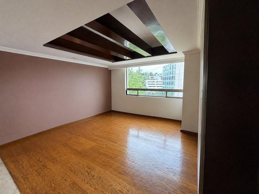 Apartment in Mexico City, Mexico 4 - 19038466