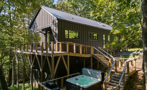 Maison à Cherry Log, Géorgie, États-Unis 1