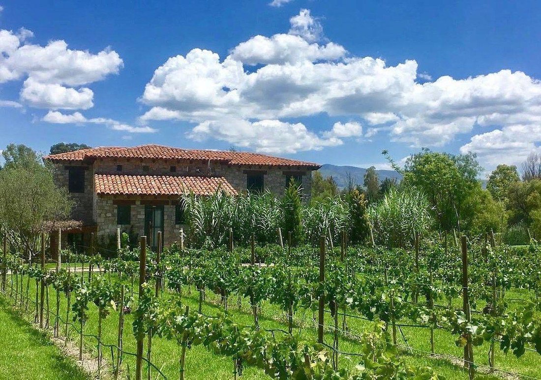 Land in Viñedos San Lucas, Guanajuato, Mexico 1 - 19038453